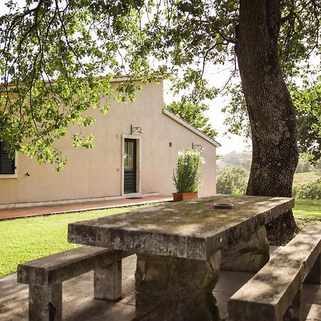 Country House Poggio Aione Guest House Catabbio Exterior photo
